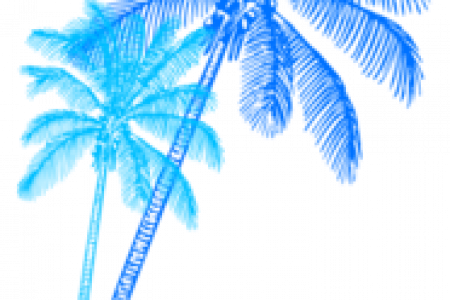 Palm Tree Clipart Teal - Uber Decals Vinyl Wall Decal Sticker Coconut Palm Tree (450x300)