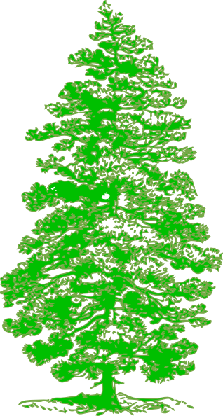Tattoo Free Oak Tree Clip Art - Parts Of A Pine Tree (318x594)