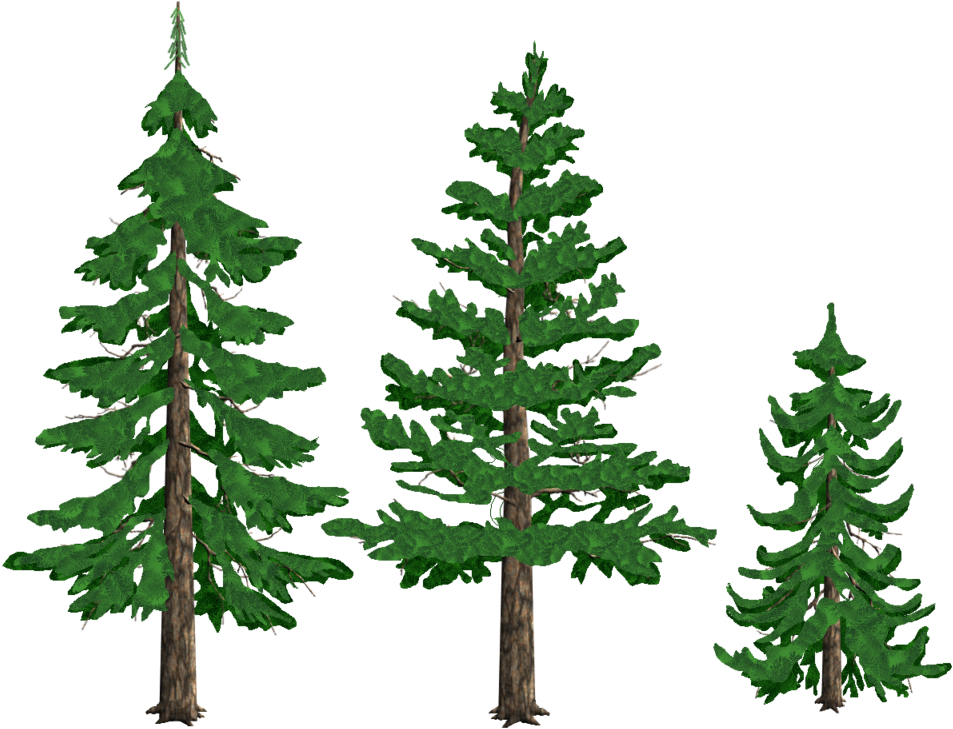 Pine Trees By Tyke44060 On Deviantart - Pine Tree Drawing Png (1024x768)