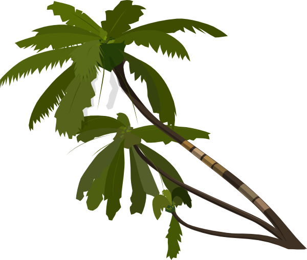 Palm Tree Animation (600x509)