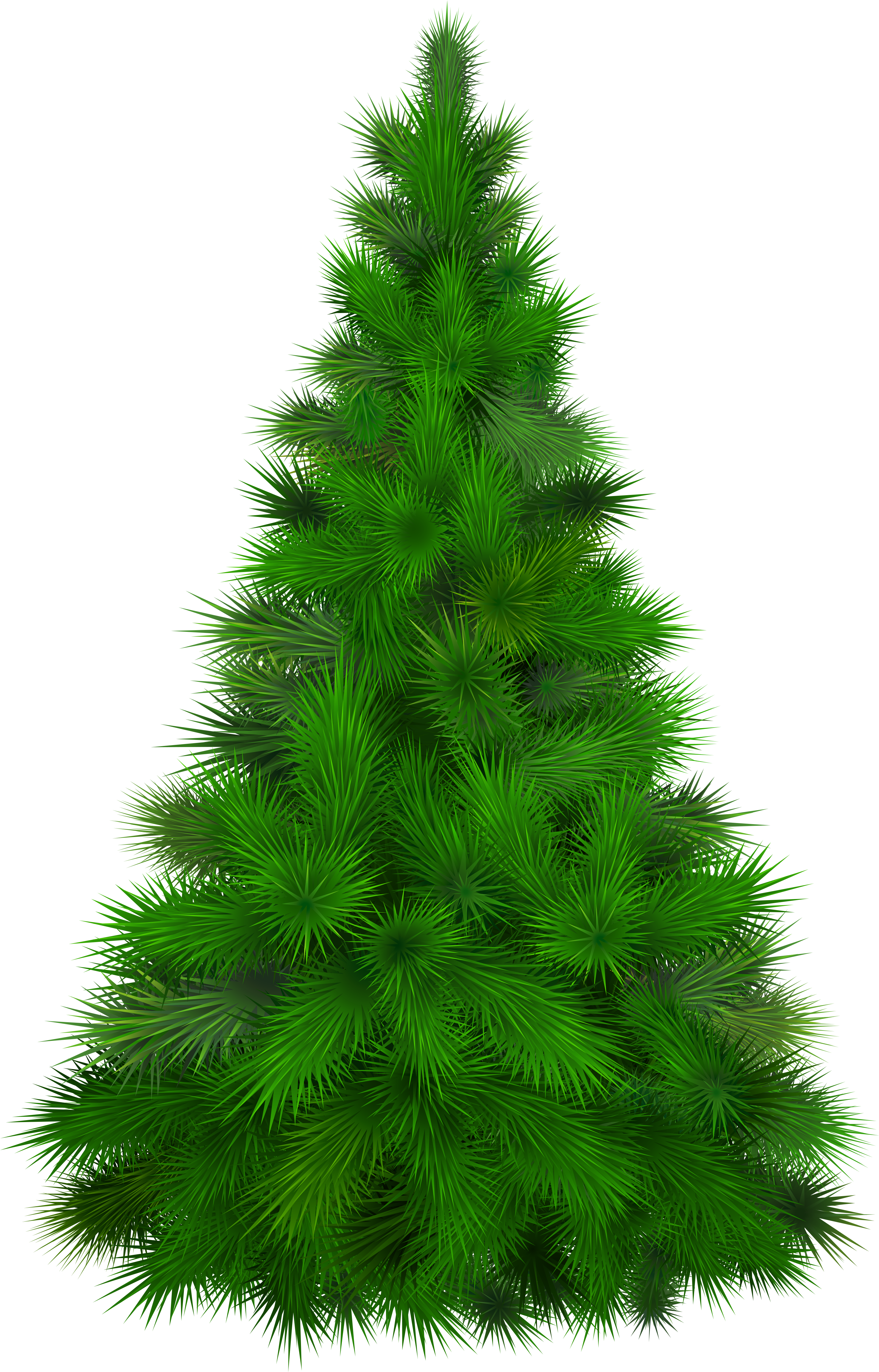 Green Pine Tree Png Clip Art - Pine Tree Clipart Png (3371x5098)