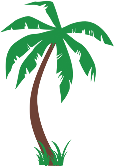 Palm Trees With Grass Wall Decal - Palm Tree (800x550)