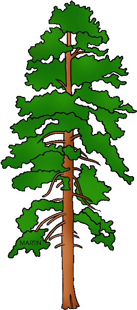 United States Clip Art By Phillip Martin, State Tree - Fallen Tree On House Clipart (352x648)