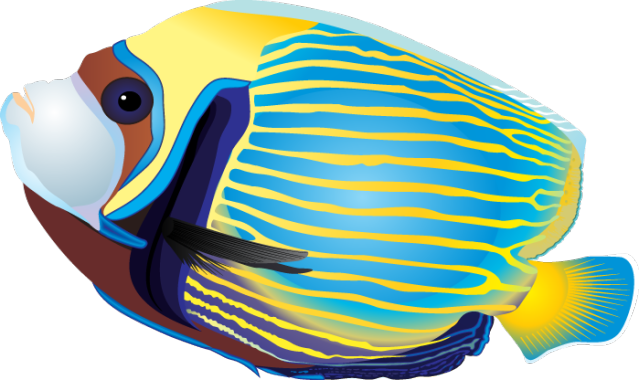 Clip Arts Related To - Tropical Fish Clip Art (639x380)