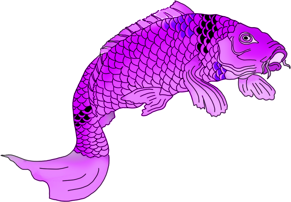 Purple Koi Fish Clipart - Koi (1049x755)