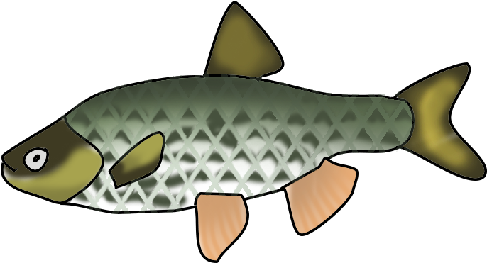 Marine Fish Clipart Transparent Fish - Fish Clipart With No Background (714x400)