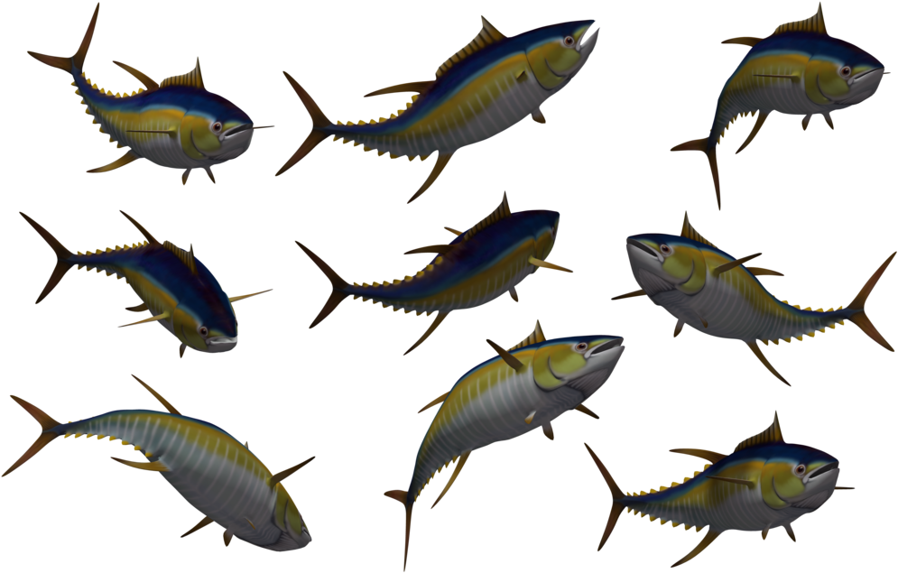 Fish Set 05 By Free Stock By Wayne On Clipart Library - Free Stock Fish (1024x645)