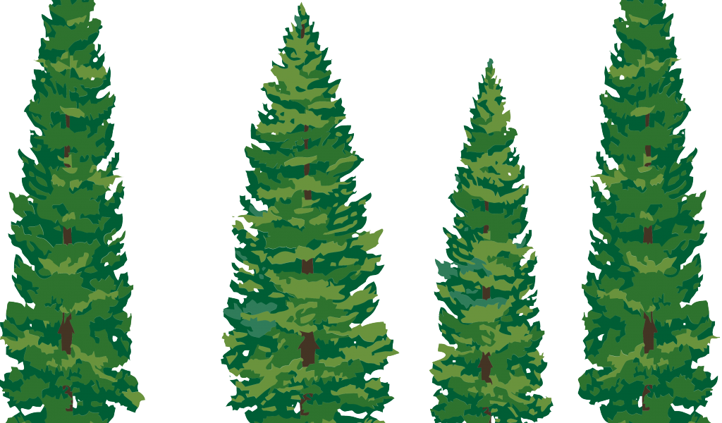 Transparent Pine Tree Clip Art (1024x600)