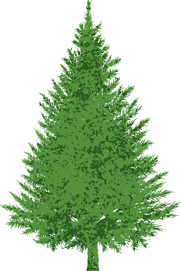 Buncee Evergreen - Evergreen Tree Clip Art (603x901)