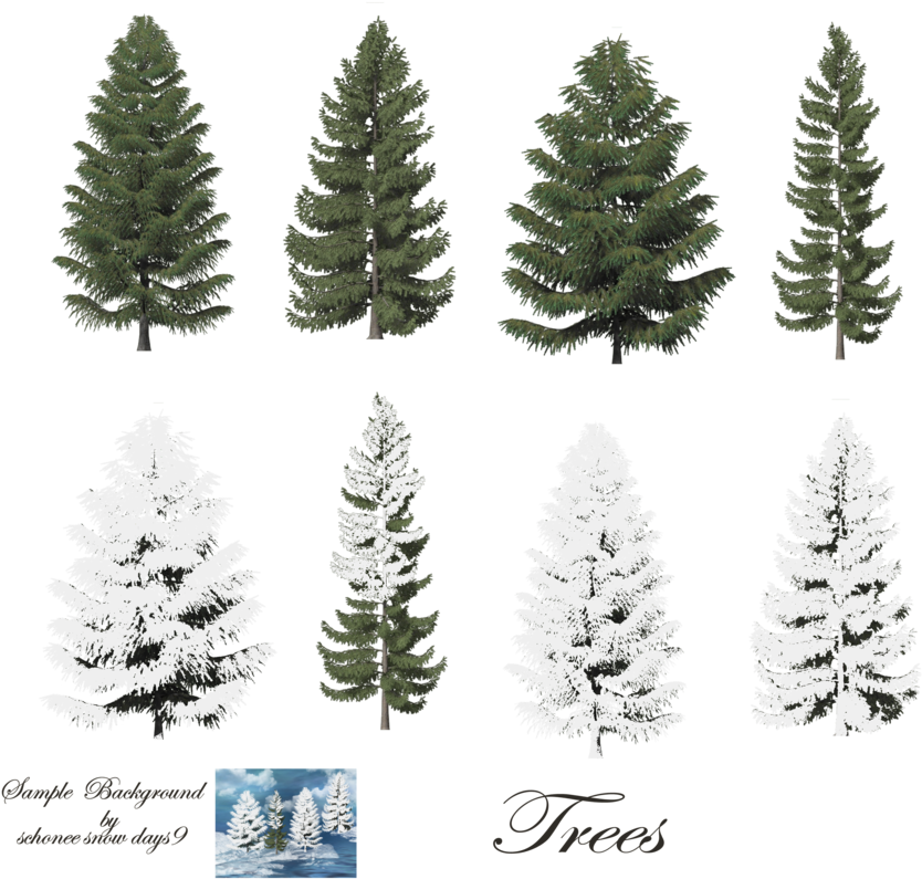 Fir-tree - Trees With Snow Photoshop (900x809)