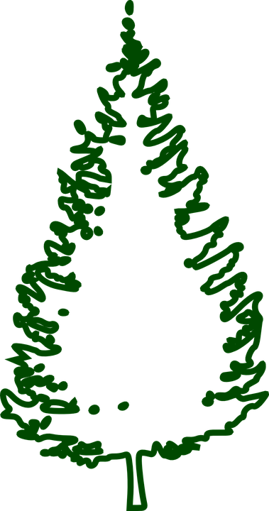 Christmas Tree Outlines - Tree (379x720)