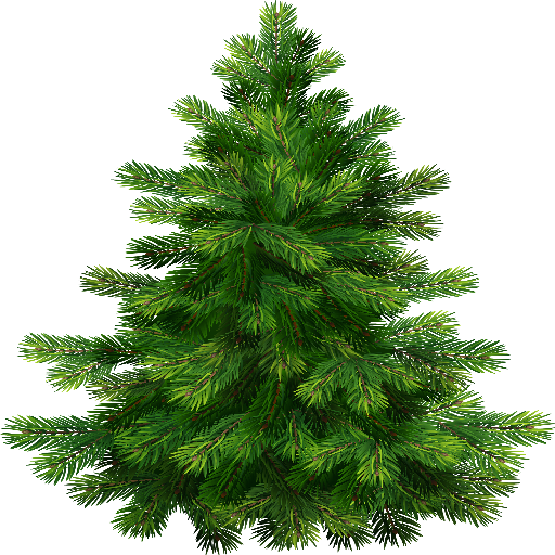 29 Jan 2015 - Pine Tree Transparent Background (512x512)