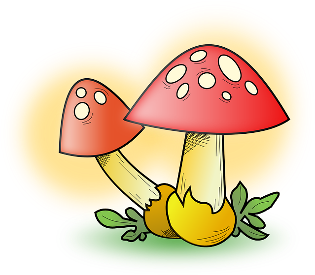 Food, Drawing, Mushroom, Cartoon, Free, Plant - Cute Mushrooms Yard Sign (848x750)