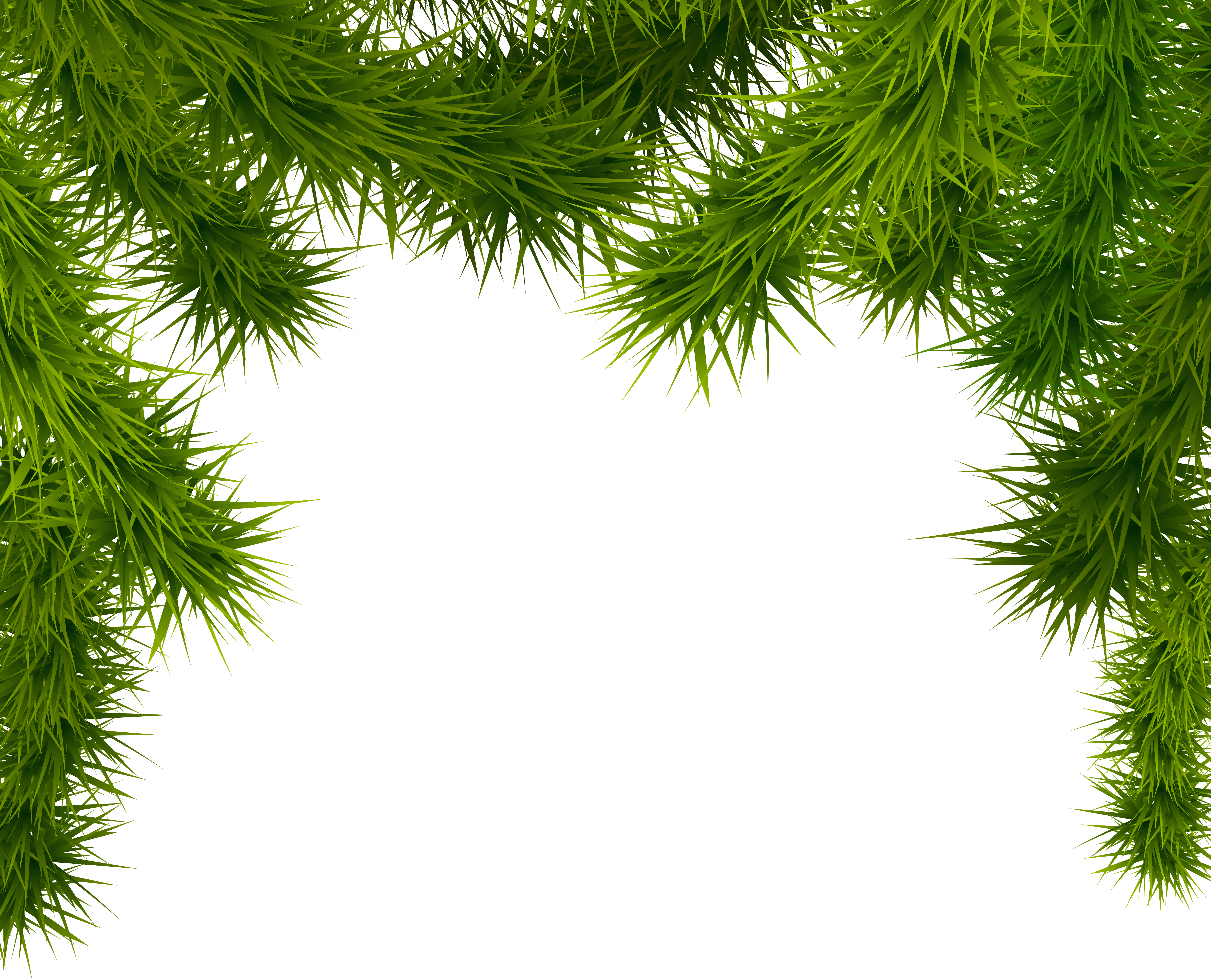 Pine Branches Png Clipart Image - Christmas Tree Branches Transparent (6118x4953)