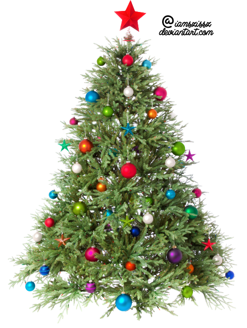 Christmas - Christmas Tree Png Transparent (498x662)