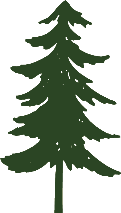 Pine Tree Silhouette Clipart Cliparting - Pine Tree Clip Art (424x713)