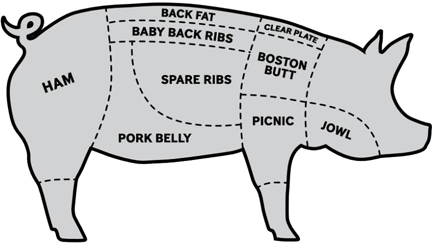 17992153 1546551875363624 2913530434281158097 N - Pig (921x522)