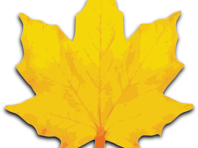 Maple Leaf Clipart Big Leaf - Maple Leaf Clip Art (640x480)