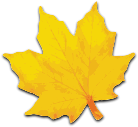 Free Yellow Leaves Clip Art - Yellow Maple Leaf Clip Art (594x597)