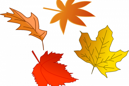 Fall Leaves Clip Art Transparent Background - Autumn (450x300)