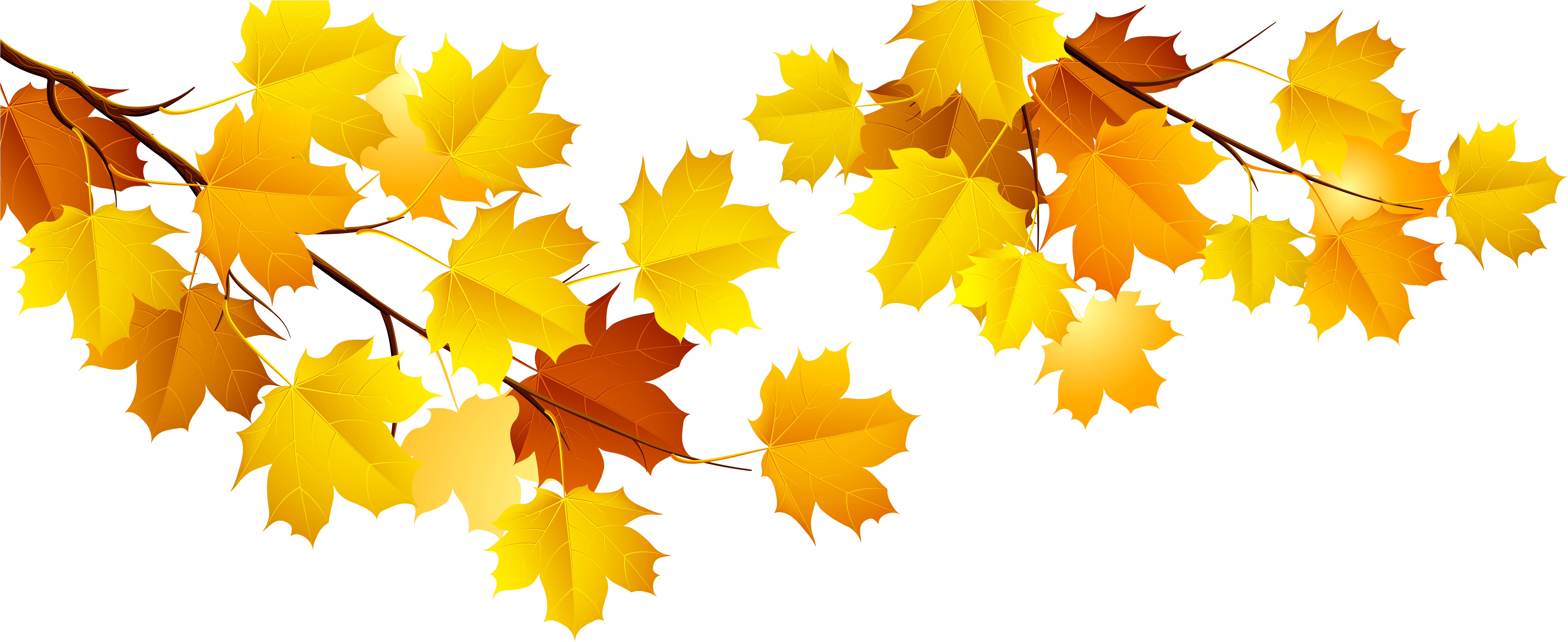 Fall Clipart Fall Branch - Autumn Png (5562x2304)