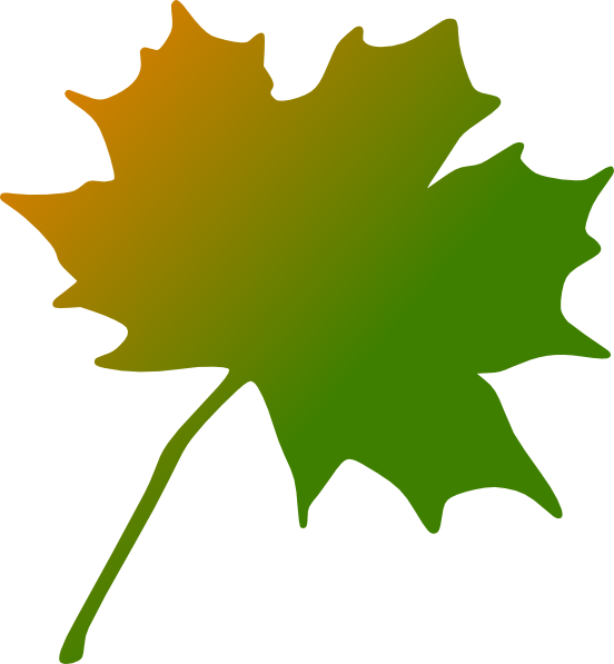 Maple Leaf Clip Art (552x597)
