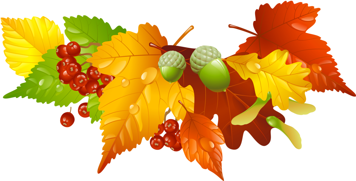 Top 88 Autumn Leaves Clip Art Free Clipart Image - Autumn Png (1263x702)
