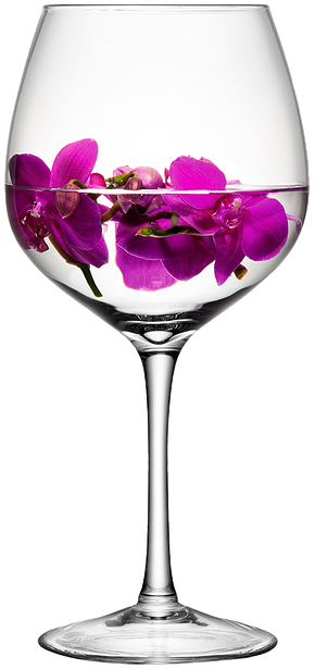 Little Rock Venues And Wedding Receptions - Lsa International Lsa Wine Glass H39cm (290x615)