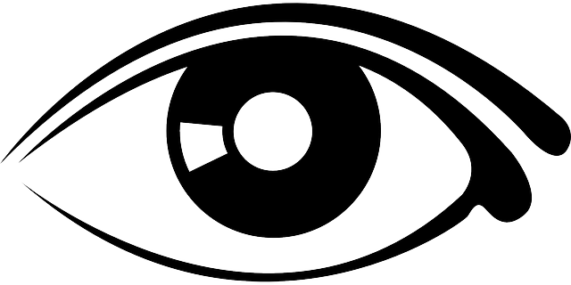 Eyes, Eye, Part, Human, Cartoon, Eyeball, Free, Body - Eye Graphic (640x320)