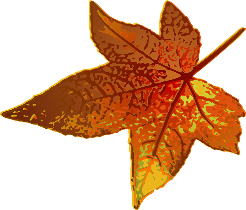 Autumn Leaf Clipart 8, - Maple Leaf Clip Art (843x720)