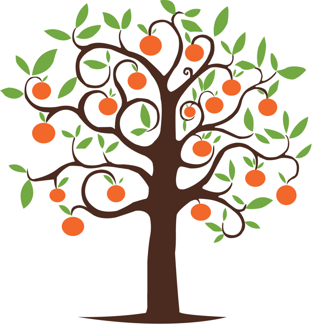 Tangerine Tangerine - Drawings Of Peach Trees (1000x1045)
