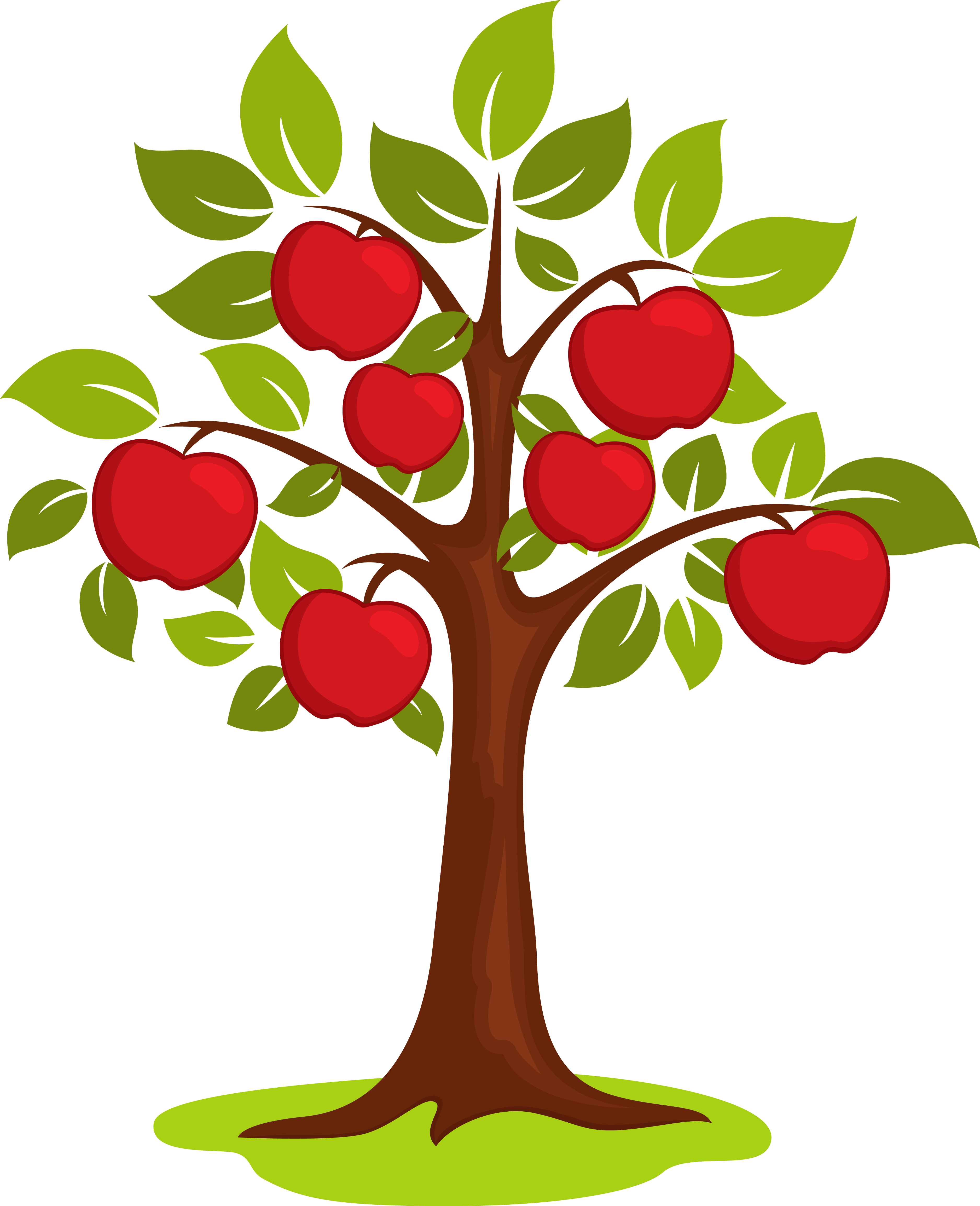 Cartoon Clip Art - Apple Tree Clip Art (3751x4614)