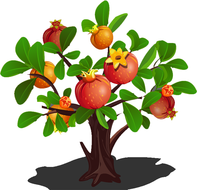 Pomegranate Tree Clip Art - Pomegranate Tree Transparent (650x626)