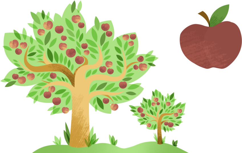 Apple Assets Apple Tree - Apple Assets Apple Tree (1000x563)