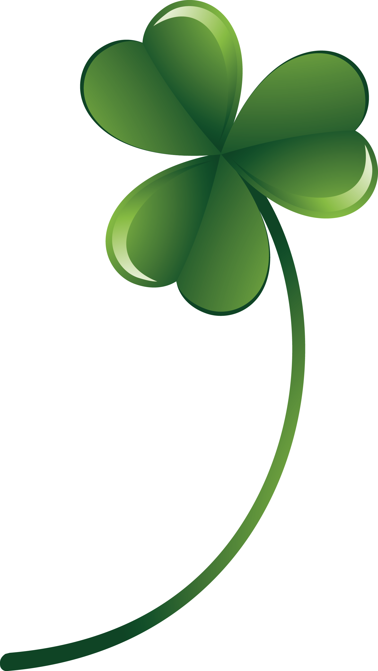 Four-leaf Clover Euclidean Vector - Cỏ 3 Lá Vector (1555x2758)