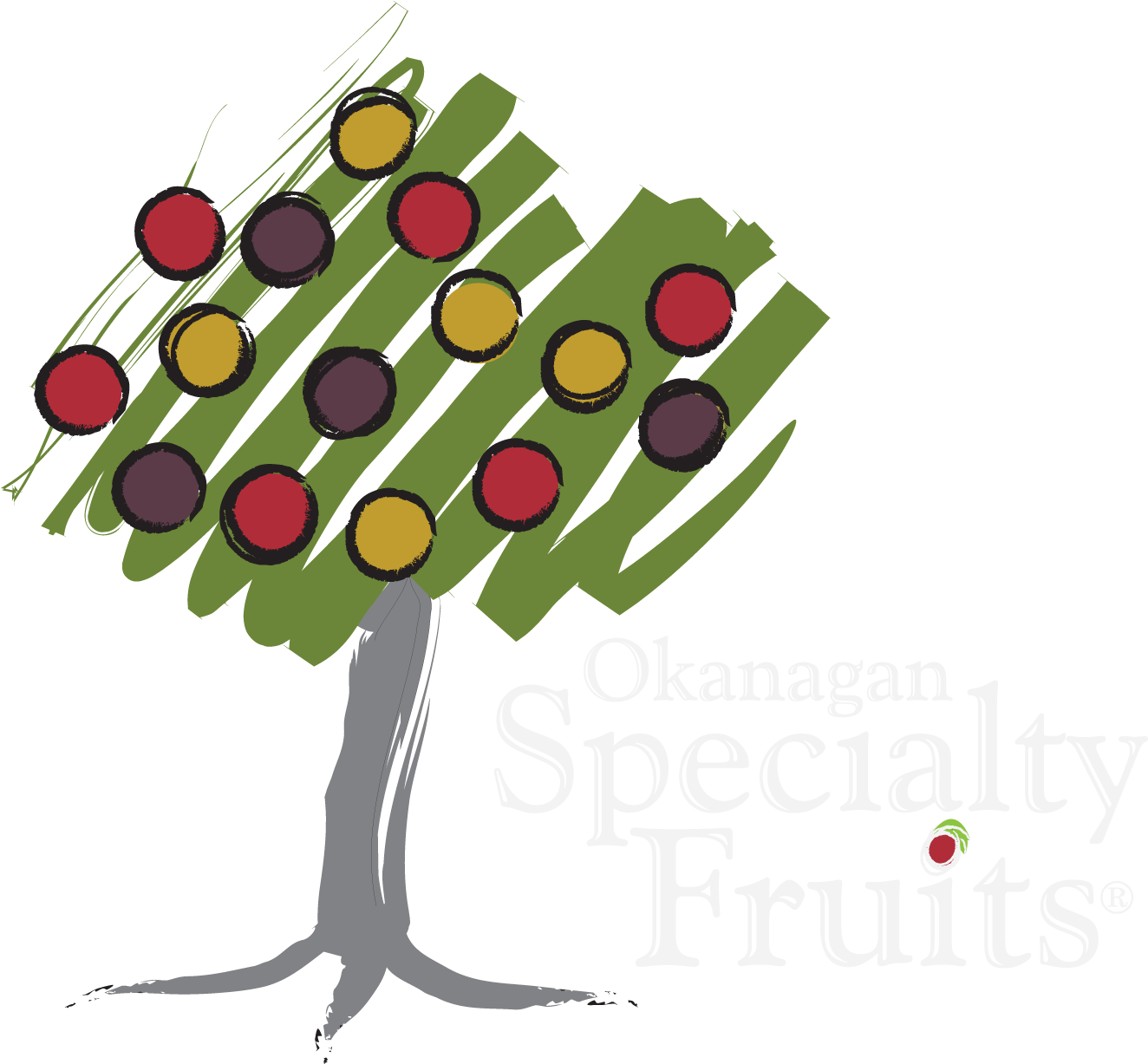 Arctic® Apples Okanagan Specialty Fruits Inc - Okanagan Specialty Fruits (1685x1550)