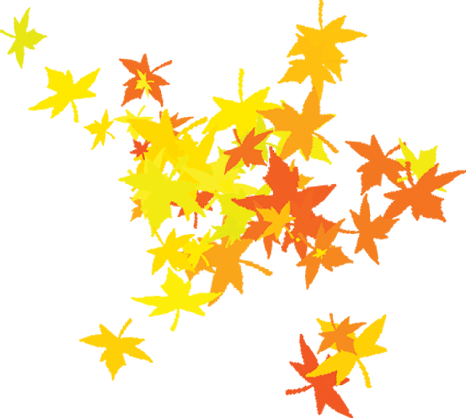 Maple Leaf - Leaves - Leaf (1701x1701)