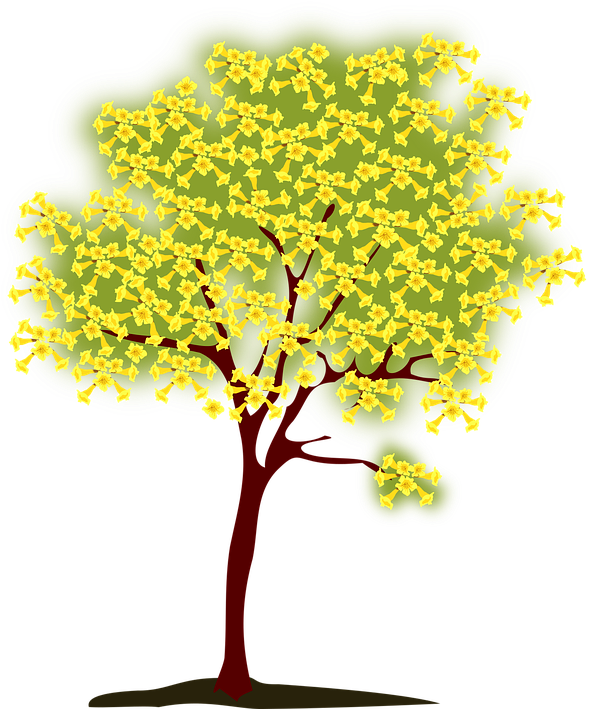 Apple Tree Clipart 29, Buy Clip Art - Tree With Yellow Leaves Clip Art (616x720)