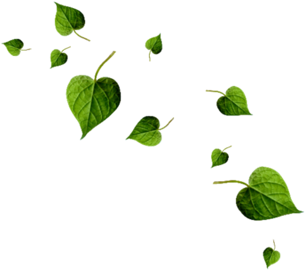 Hoja Corazón Clip Art - マニー 韓国 ドラマ ラベル (800x800)