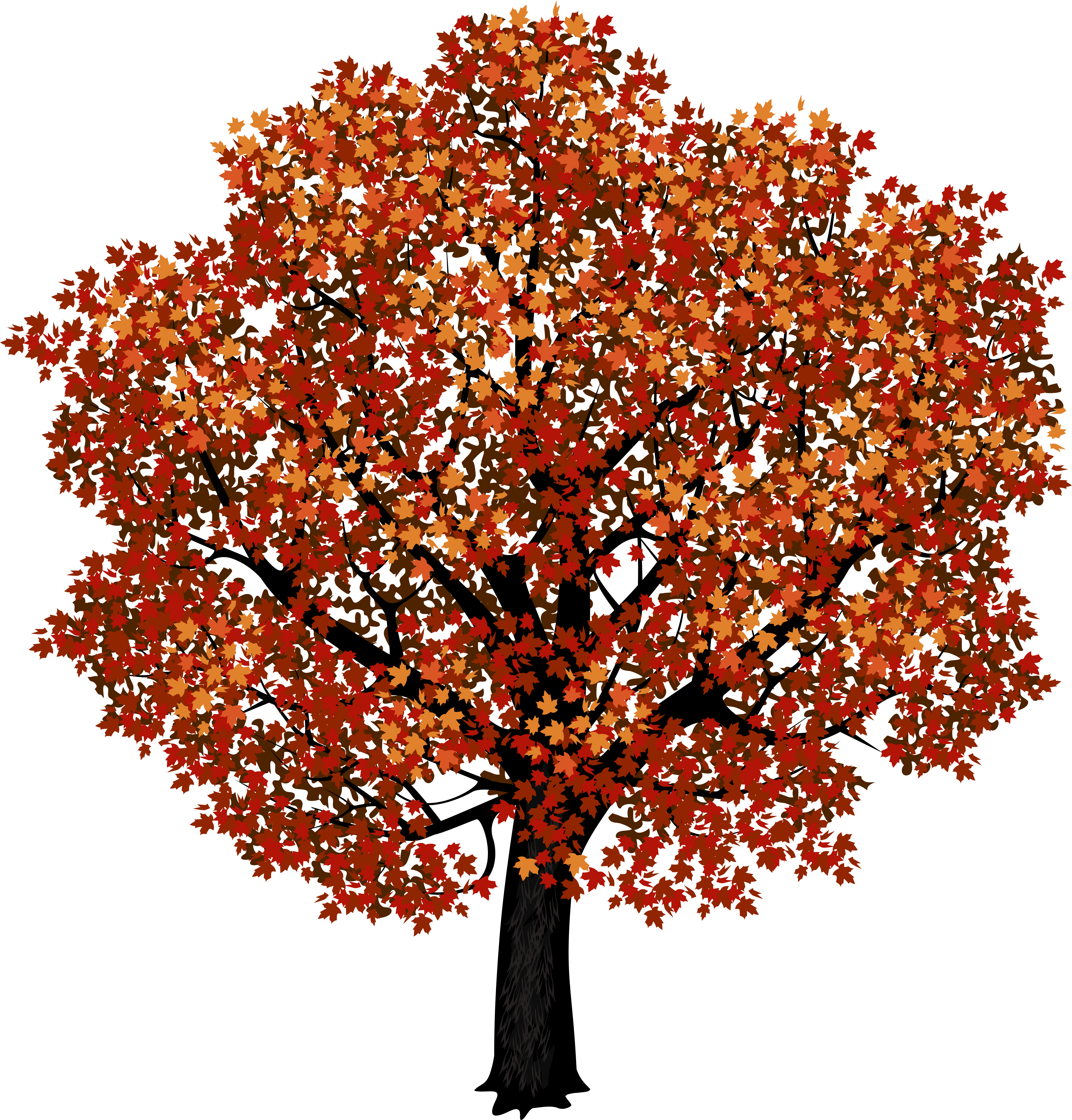 Red Maple Tree Png Clipart Picture - Autumn Maple Tree Png (5081x5245)