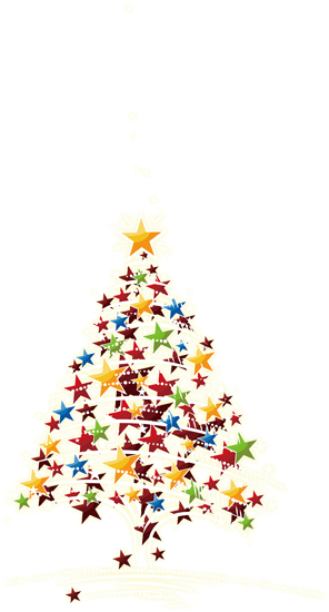 Light Christmas Tree Star Pine - Light Christmas Tree Star Pine (591x591)