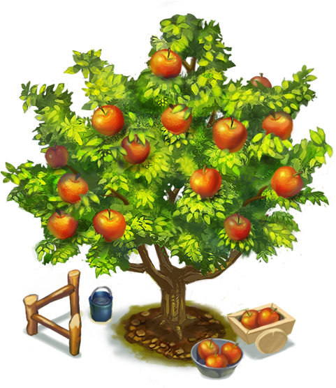 Picture Of An Apple Tree - Proces Fotosinteze (480x600)