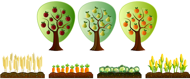 Farm, Field, Plantation, Tree, Vegetable, Apple - Scrapbook Trees (640x320)