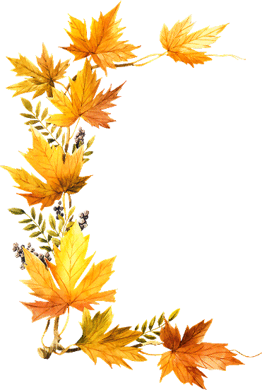 Foliage Clipart October - Fall Leaves Transparent Side Border (371x552)