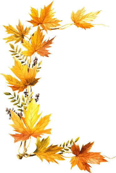 Foliage Clipart October - Fall Leaves Transparent Side Border ...