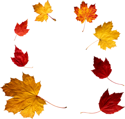 Leaves Drawing Tumblr Autumn Leaves Png By Vanessarebelangel - Autumn Png (400x382)