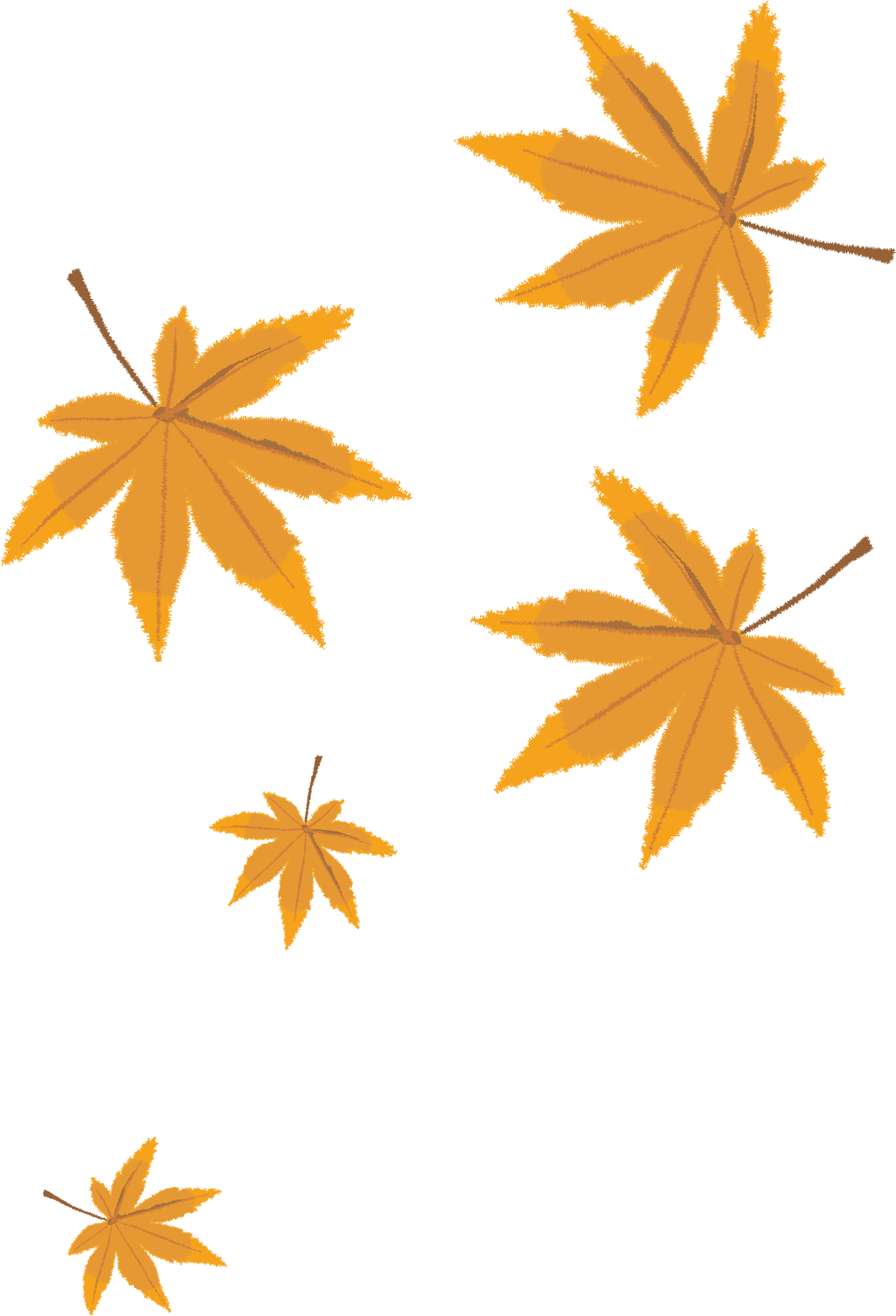 Autumn Leaves Png Vector Material - Cartoon Autumn Leaves (1637x2403)