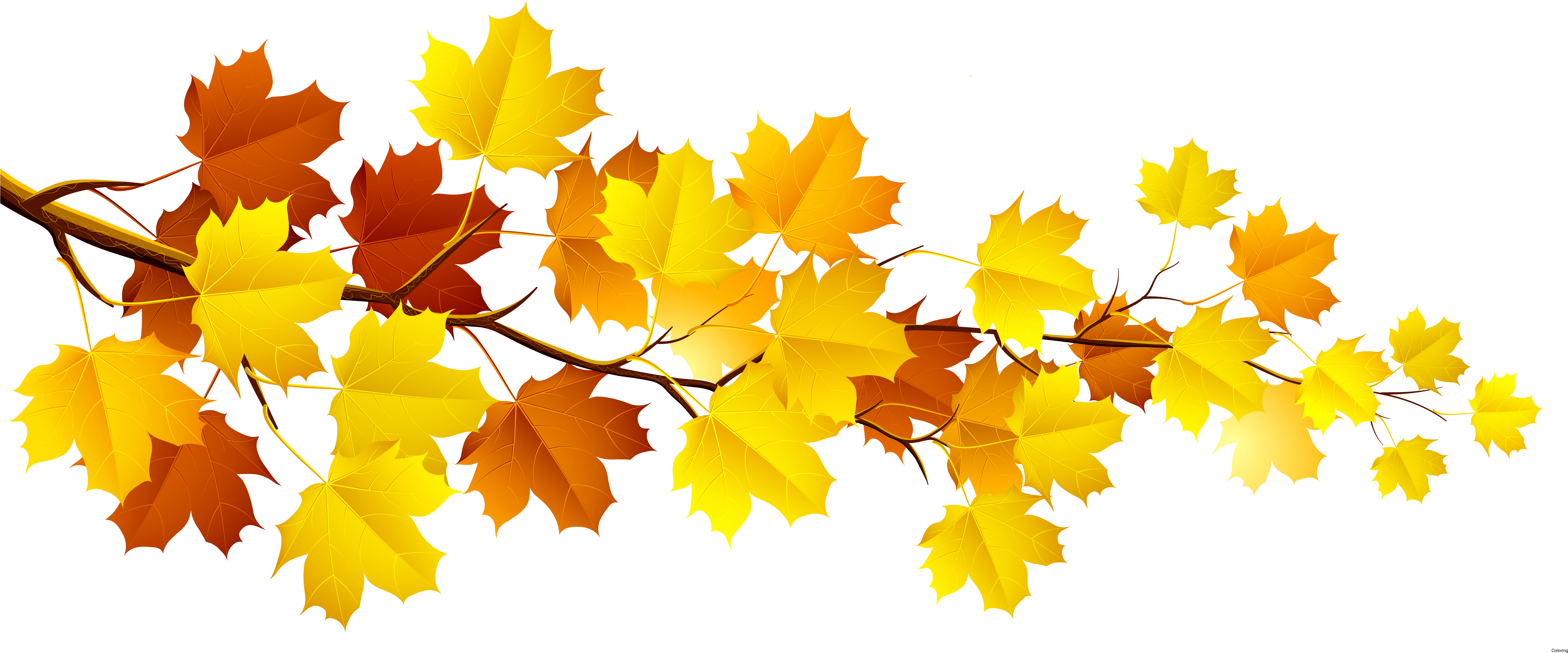 Autumn Leaves Clip Art (5999x2681)