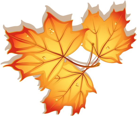 Autumn Leaves Clipart Image - Autumn Leaves Dibujo (600x525)