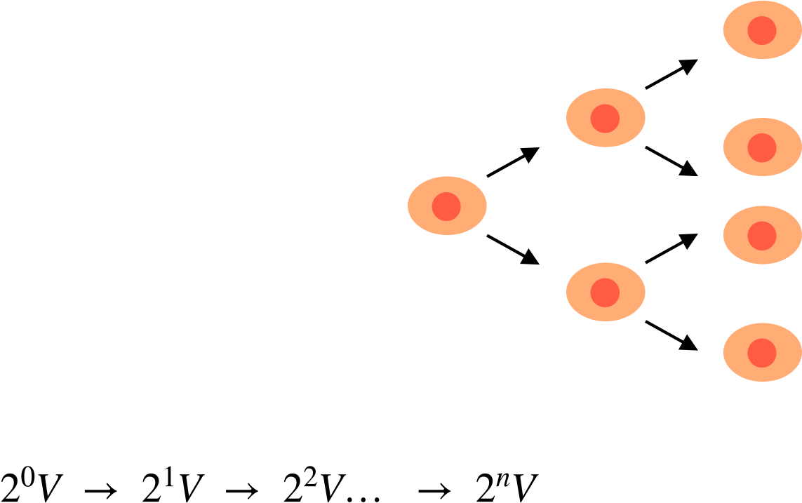The Division Makes The Cell Volume V Increase Exponentially, - Circle (1741x736)